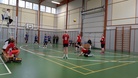 Tiikerisarjaa Liperissä 13.10.24 Partio3